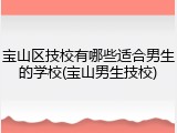 宝山区技校有哪些适合男生的学校(宝山男生技校)
