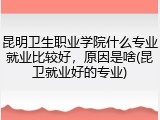 昆明卫生职业学院什么专业就业比较好，原因是啥(昆卫就业好的专业)