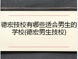 德宏技校有哪些适合男生的学校(德宏男生技校)