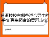 普洱技校有哪些适合男生的学校(男生适合的普洱技校)