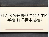 红河技校有哪些适合男生的学校(红河男生技校)