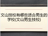 文山技校有哪些适合男生的学校(文山男生技校)