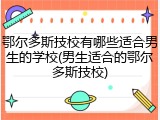 鄂尔多斯技校有哪些适合男生的学校(男生适合的鄂尔多斯技校)