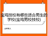 宝鸡技校有哪些适合男生的学校(宝鸡男校技校)