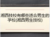 湘西技校有哪些适合男生的学校(湘西男生技校)