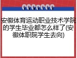 安徽体育运动职业技术学院的学生毕业都怎么样了(安徽体职院学生去向)