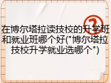 在博尔塔拉读技校的升学班和就业班哪个好("博尔塔拉技校升学就业选哪个")
