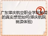 广东肇庆航空职业学院就读的真实感觉如何(肇庆航院就读体验)