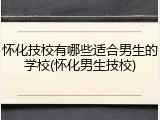 怀化技校有哪些适合男生的学校(怀化男生技校)