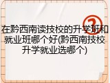 在黔西南读技校的升学班和就业班哪个好(黔西南技校升学就业选哪个)