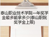 泰山职业技术学院一年奖学金最多能拿多少(泰山职院奖学金上限)