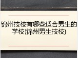 锦州技校有哪些适合男生的学校(锦州男生技校)