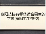资阳技校有哪些适合男生的学校(资阳男生技校)