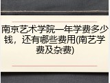 南京艺术学院一年学费多少钱，还有哪些费用(南艺学费及杂费)