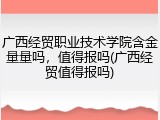 广西经贸职业技术学院含金量量吗，值得报吗(广西经贸值得报吗)