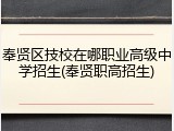 奉贤区技校在哪职业高级中学招生(奉贤职高招生)