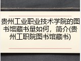 贵州工业职业技术学院的图书馆藏书量如何，简介(贵州工职院图书馆藏书)