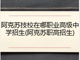 阿克苏技校在哪职业高级中学招生(阿克苏职高招生)