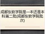 成都东软学院是一本还是本科第二批(成都东软学院批次)