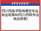 四川民族学院有哪些专业，就业前景如何(川民院专业就业前景)