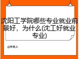 沈阳工学院哪些专业就业前景好，为什么(沈工好就业专业)