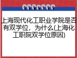 上海现代化工职业学院是否有双学位，为什么(上海化工职院双学位原因)