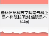 桂林信息科技学院是专科还是本科院校呢(桂信院是本科吗)