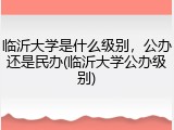 临沂大学是什么级别，公办还是民办(临沂大学公办级别)
