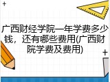 广西财经学院一年学费多少钱，还有哪些费用(广西财院学费及费用)