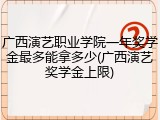 广西演艺职业学院一年奖学金最多能拿多少(广西演艺奖学金上限)