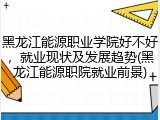 黑龙江能源职业学院好不好，就业现状及发展趋势(黑龙江能源职院就业前景)