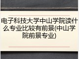 电子科技大学中山学院读什么专业比较有前景(中山学院前景专业)