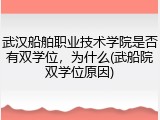武汉船舶职业技术学院是否有双学位，为什么(武船院双学位原因)