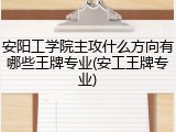 安阳工学院主攻什么方向有哪些王牌专业(安工王牌专业)