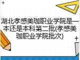 湖北孝感美珈职业学院是一本还是本科第二批(孝感美珈职业学院批次)