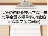 武汉船舶职业技术学院一年奖学金最多能拿多少(武船职院奖学金最高额)