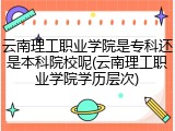 云南理工职业学院是专科还是本科院校呢(云南理工职业学院学历层次)