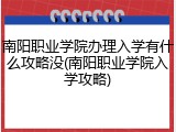 南阳职业学院办理入学有什么攻略没(南阳职业学院入学攻略)