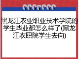 黑龙江农业职业技术学院的学生毕业都怎么样了(黑龙江农职院学生去向)