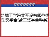 盐城工学院共开设有哪些类型奖学金(盐工奖学金种类)