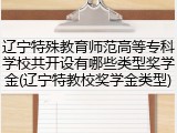 辽宁特殊教育师范高等专科学校共开设有哪些类型奖学金(辽宁特教校奖学金类型)