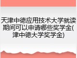 天津中德应用技术大学就读期间可以申请哪些奖学金(津中德大学奖学金)