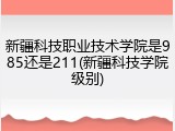 新疆科技职业技术学院是985还是211(新疆科技学院级别)