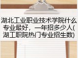 湖北工业职业技术学院什么专业最好，一年招多少人(湖工职院热门专业招生数)