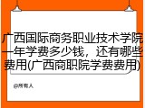广西国际商务职业技术学院一年学费多少钱，还有哪些费用(广西商职院学费费用)