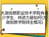 太湖创意职业技术学院有多少学生，师资力量如何(太湖创意学院师生概况)