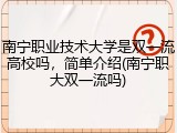 南宁职业技术大学是双一流高校吗，简单介绍(南宁职大双一流吗)