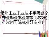 常州工业职业技术学院哪个专业毕业就业前景比较好(常州工院就业好专业)