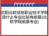 沈阳北软信息职业技术学院读什么专业比较有前景(北软学院前景专业)
