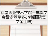新星职业技术学院一年奖学金最多能拿多少(新职院奖学金上限)